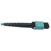 Tripp Lite Mmf Fbr Optic Cable Om4 Plenum, N846D-05M-24AAQ N846D-05M-24AAQ